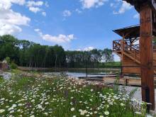 Obora Košetice - Košetice