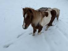 Branná do hor - Horní Branná