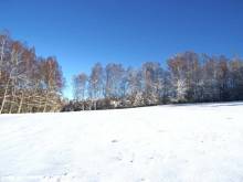 Rekreační dům Na kopečku u lesa - Kamenice