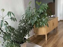 Ubytování Vitaé - Velké Losiny