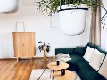 Ubytování Vitaé - Velké Losiny