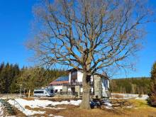 Caravan park U Pavlova dubu - Žďárský Potok