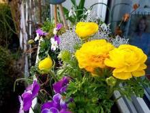 Apartmán Sluníčko - Ohrazenice