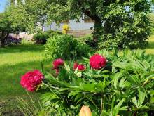 Ubytování Martinice v Krkonoších - Martinice v Krkonoších