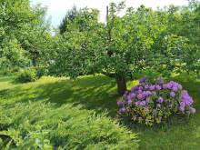 Ubytování Martinice v Krkonoších - Martinice v Krkonoších