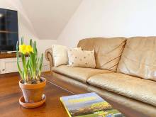 Rodinný apartmán na samotě u lesa - Srní