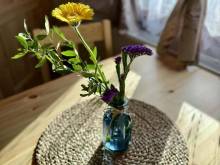 Apartmány u Náměstí - Chřibská