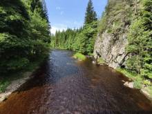 Apartmány Lešišov - Lešišov