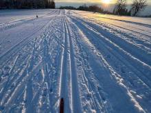 Aldrovské trio - Vítkovice