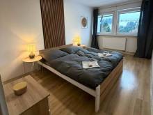 Aldrovské trio - Vítkovice