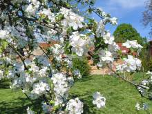 Dům vzpomínek - Hustopeče nad Bečvou