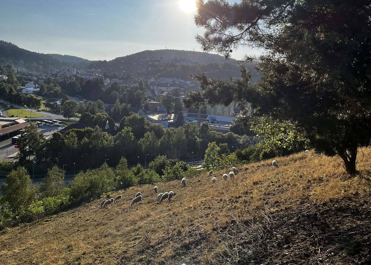 Boubín View - Vimperk