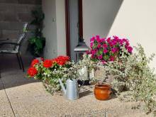 Penzion Kateřina - Mikulčice