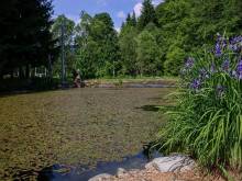 Ubytování U Svobodů - Malá Morava