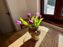 Pod Lovčí skálou - Filipova Huť