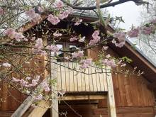 Mňau apartmán - Sloup v Čechách