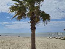 Apartmán Verë Golem - 