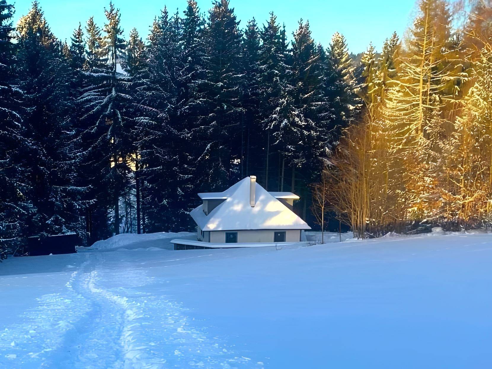 Skoro na samotě - Pastviny