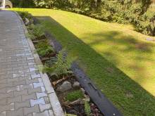 Skoro na samotě - Pastviny