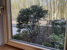 Apartmán ve srubu u jezera - Ovčáry