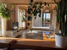 Apartmán ve srubu u jezera - Ovčáry