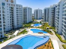 Caesar Blue -