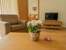 Apartmán Andrea 3 -