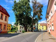Penzion U školy - Staré Město pod Sněžníkem
