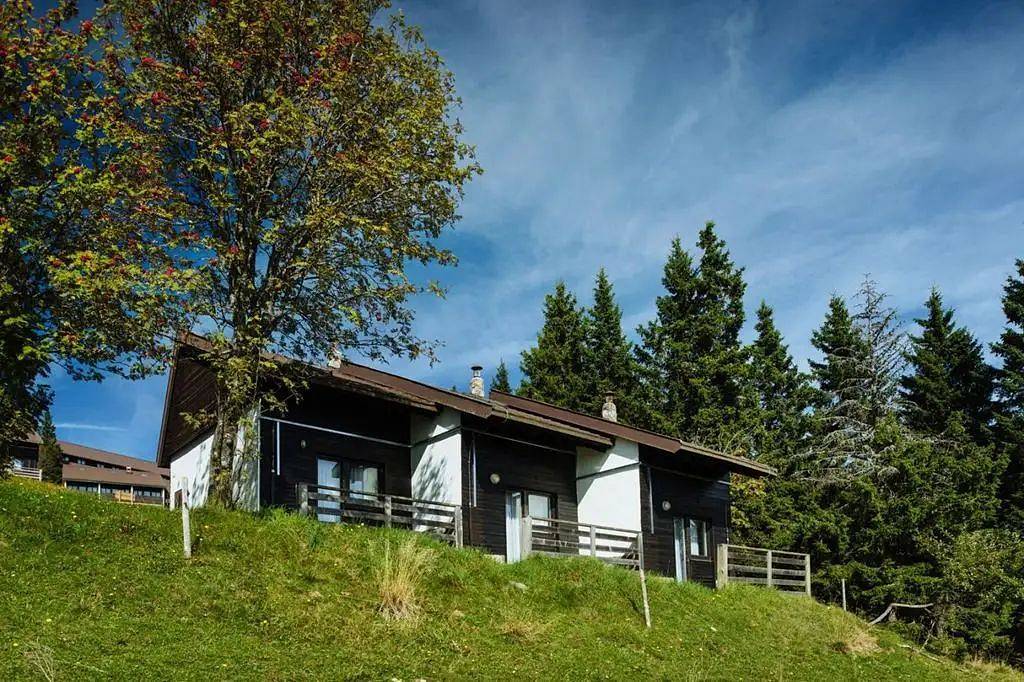 Bungalow Rogla - 
