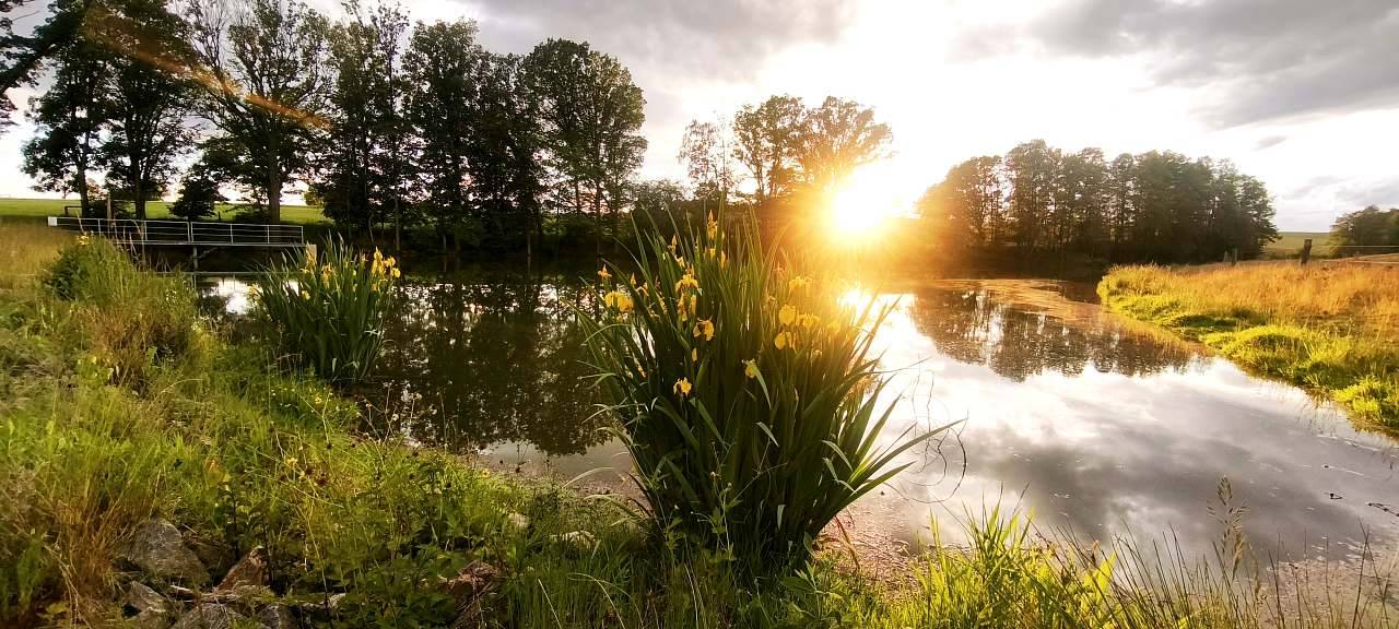 Špulka Hideaway - Zálesí