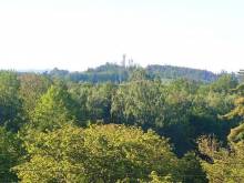 Špulka Hideaway - Zálesí