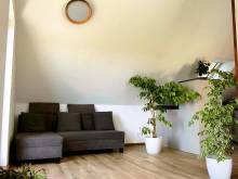 Špulka Hideaway - Zálesí