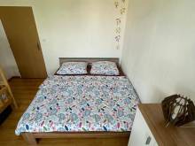 Apartmán Vendelín - Abertamy