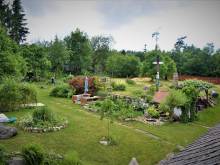 Pod Maršovsou třešní - Maršov