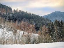 Dřevěnice u vleku - Horní Bečva
