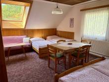 Apartmán u lesa - Karlov pod Pradědem