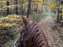 Myšák Western Ranch - Palkovice