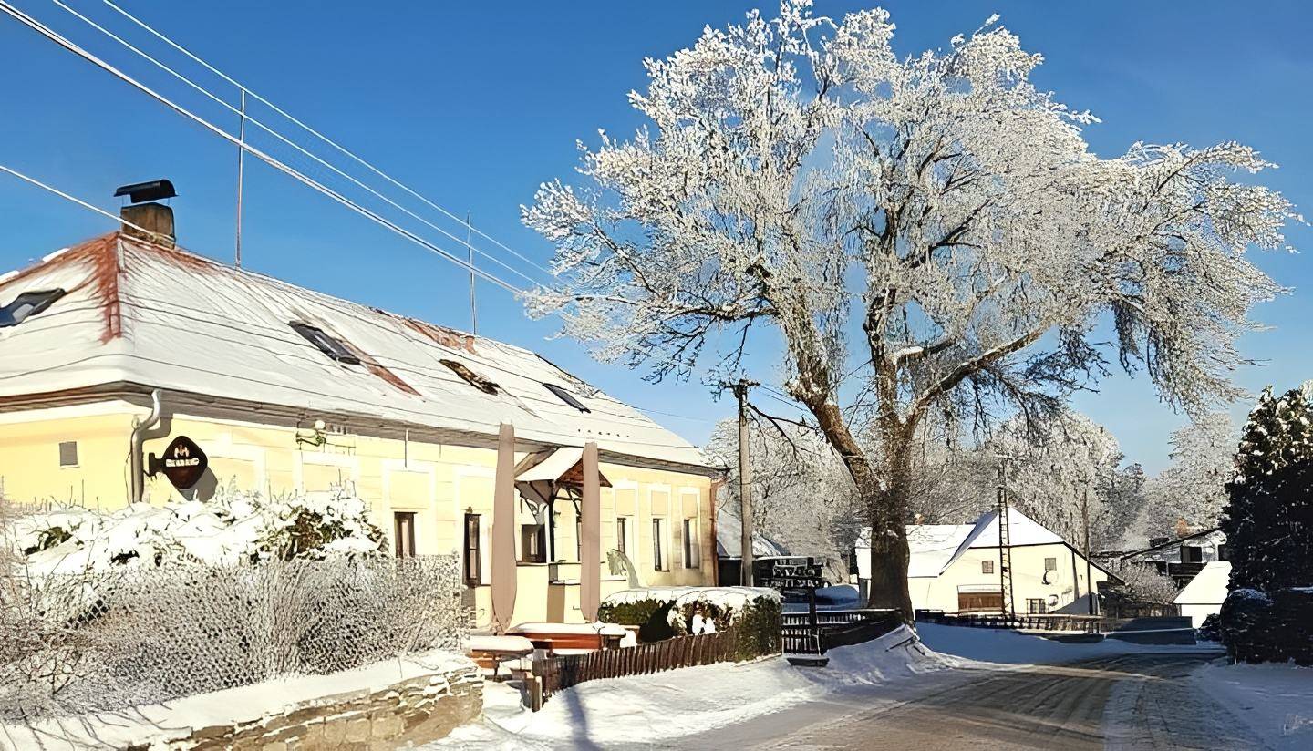 Penzion u Dračí skály - Svojše