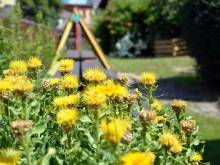 Na Kamenném schodě - Hlinsko